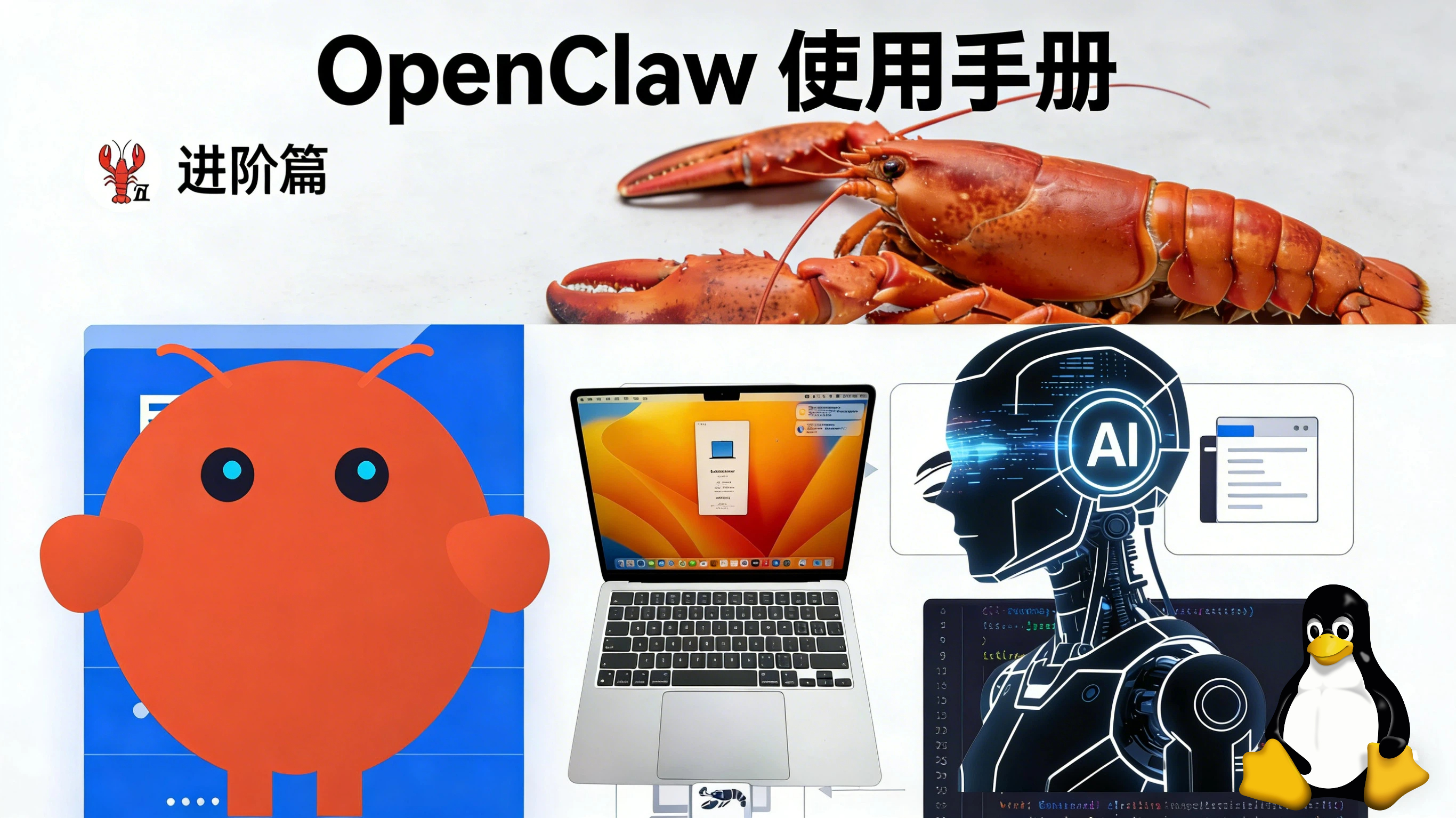 OpenClaw 使用手册 🦞